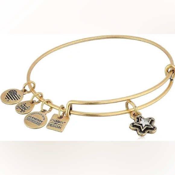 Alex And Ani True Wish Charm Bangle Bracelet - Picture 1 of 2